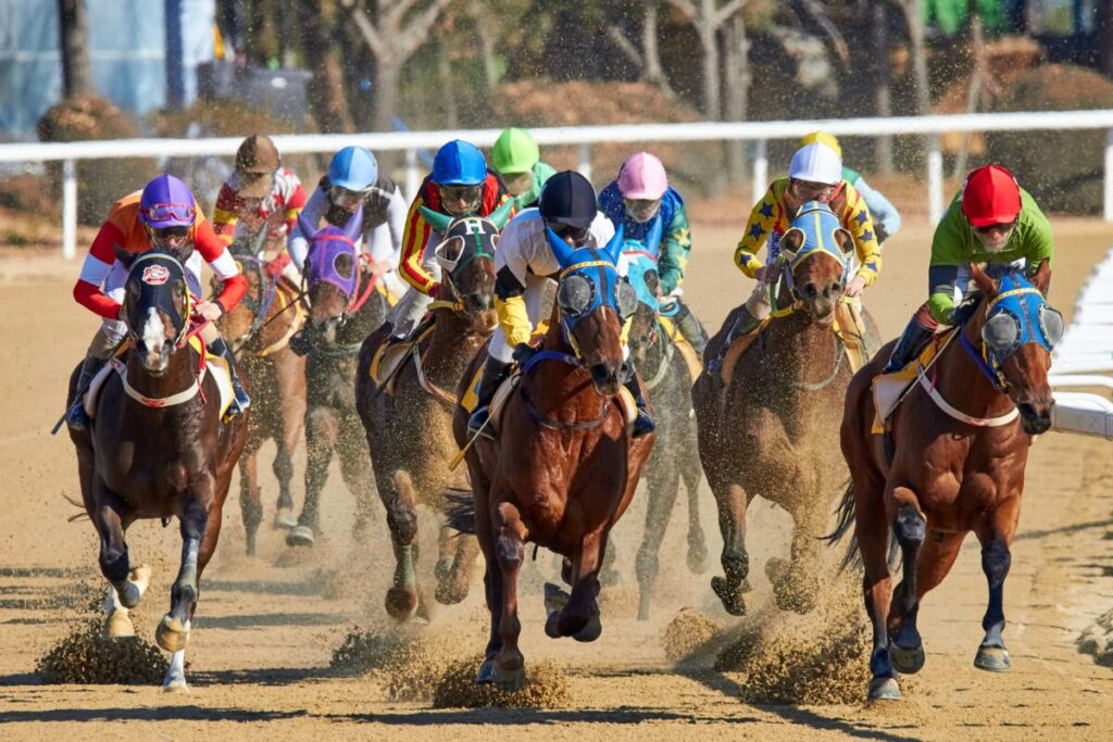 Fun Activities to Try in Nairobi